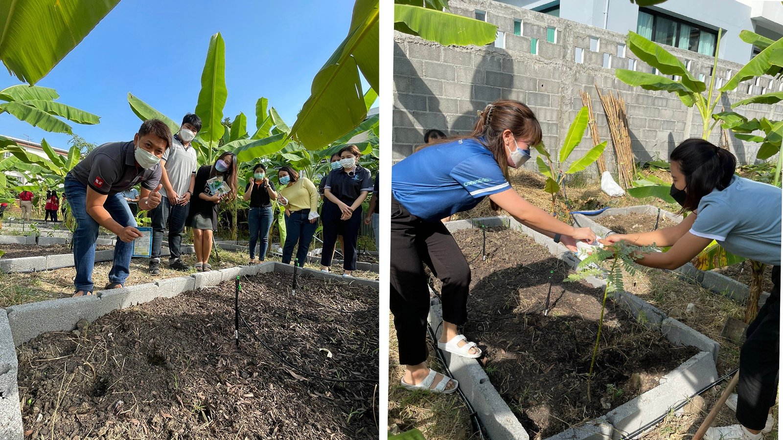 โครงการ Grow and Share