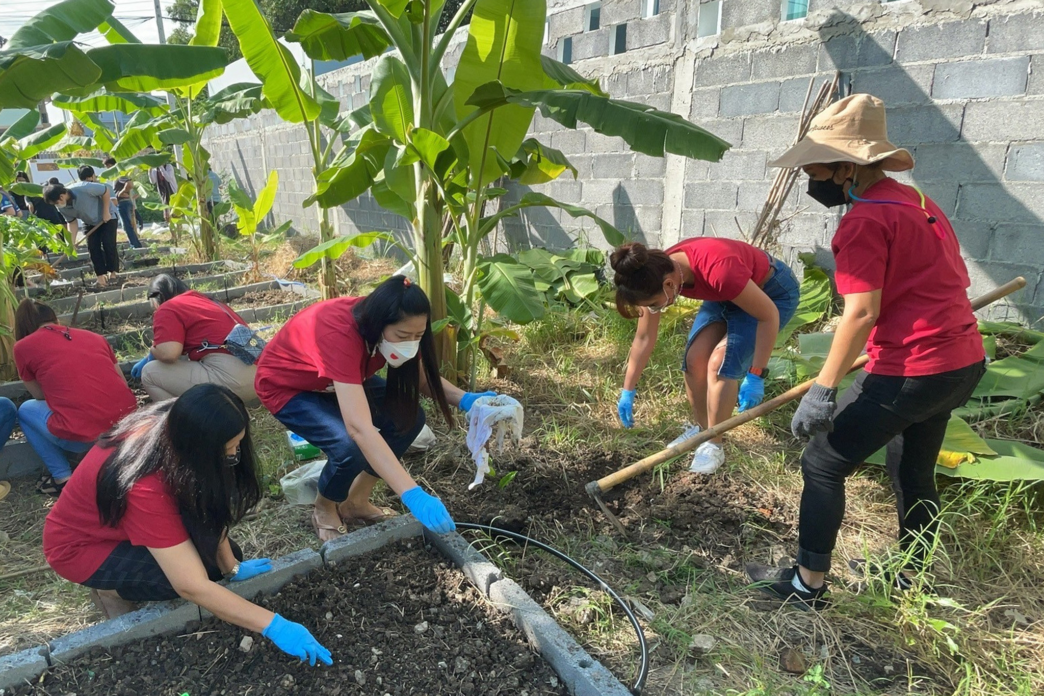 โครงการ Grow and Share