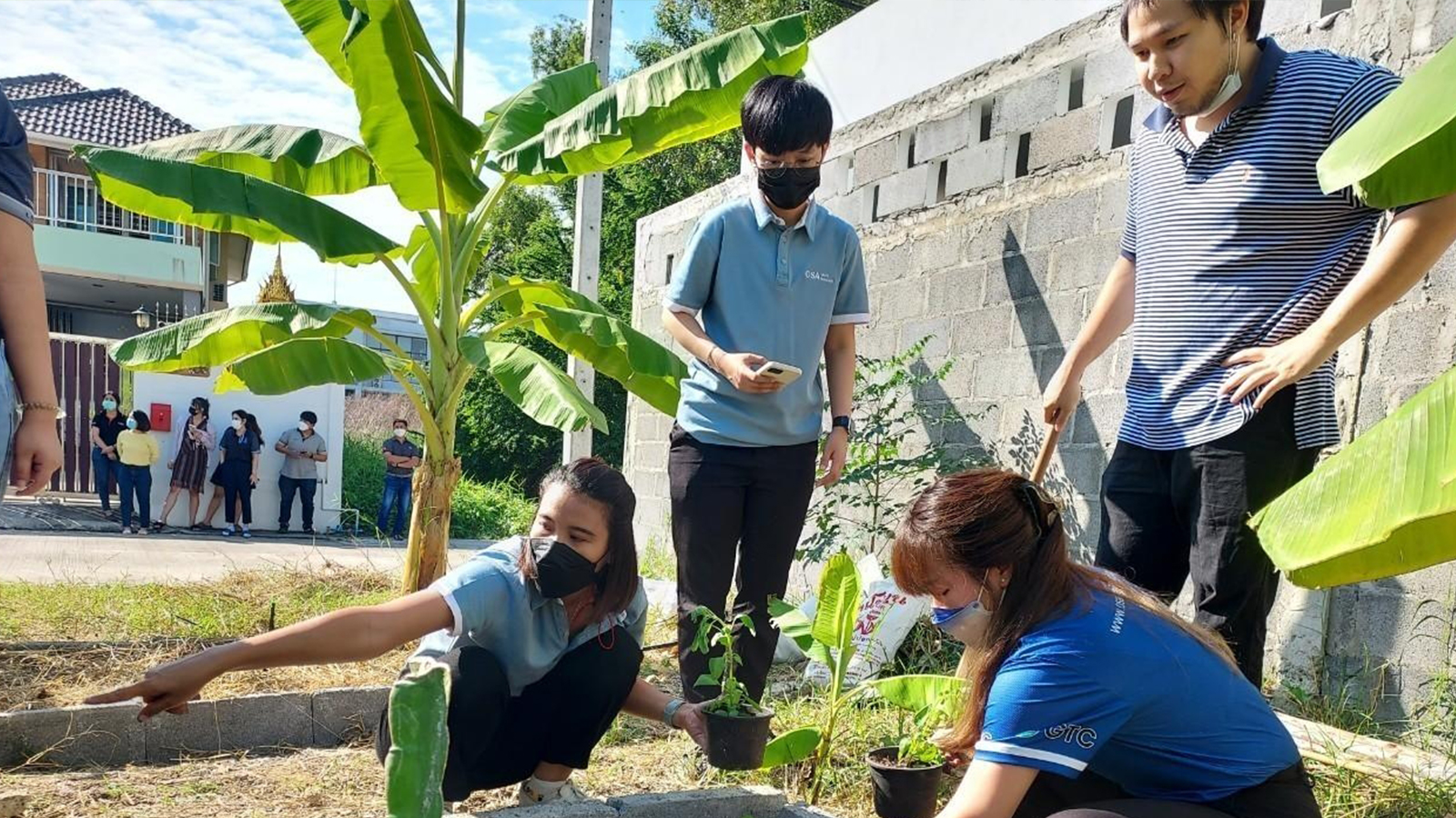 Heidelberg Evening โครงการ Grow and Share
