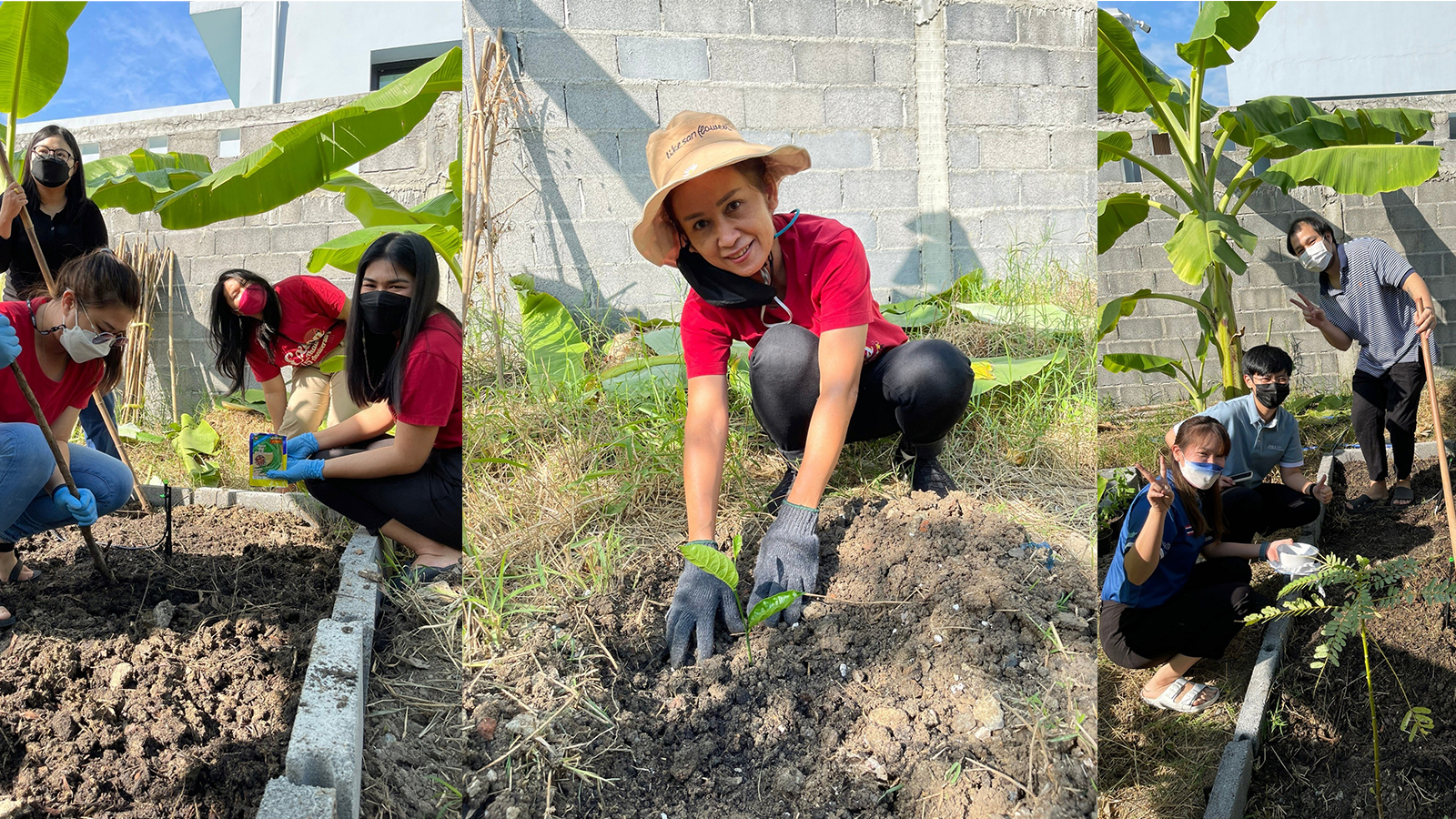 โครงการ Grow and Share