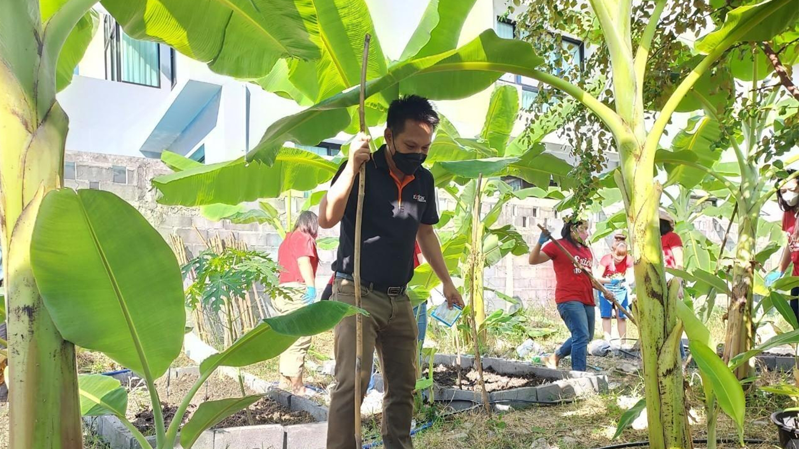 Cuernos โครงการ Grow and Share