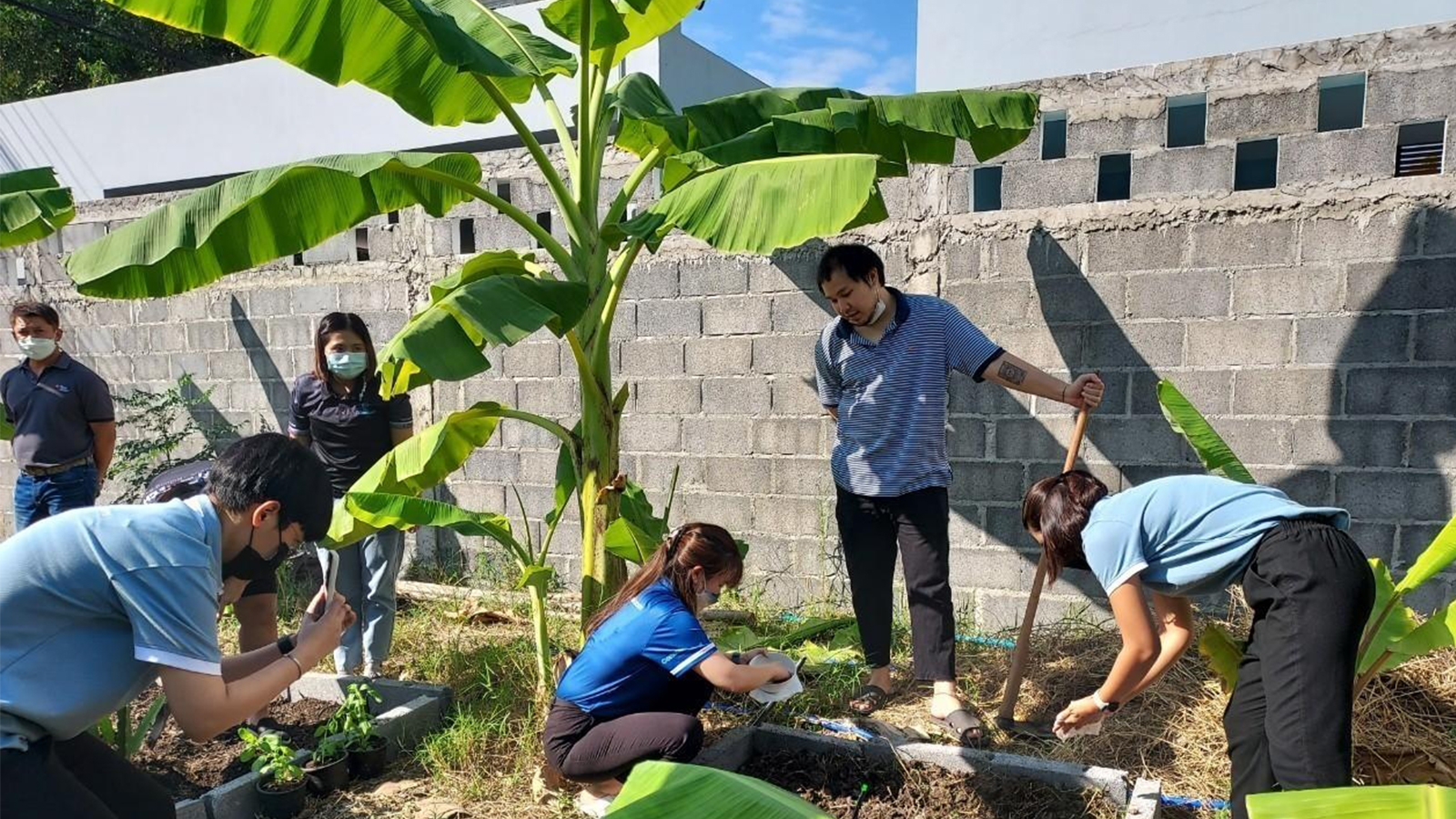 โครงการ Grow and Share