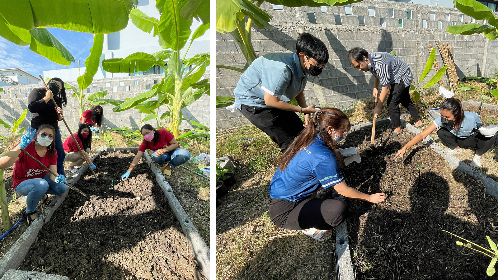 โครงการ Grow and Share